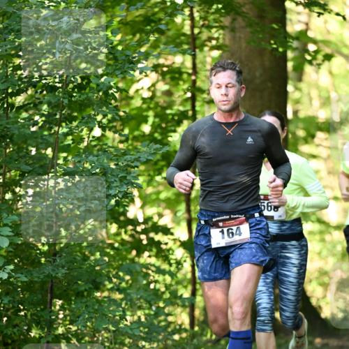 06.10.2024 - Bramfelder Halbmarathon 2024 Dr. Thomas Lammeyer http://msf.ph/oto/7336436 06.10.2024 10:13:51 Laufen 164, 56 meine-sportfotos.de