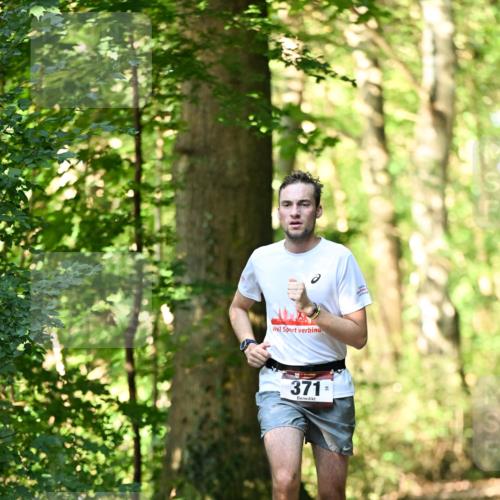 06.10.2024 - Bramfelder Halbmarathon 2024 Dr. Thomas Lammeyer http://msf.ph/oto/7336501 06.10.2024 10:14:24 Laufen 371 meine-sportfotos.de