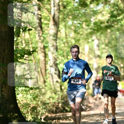 06.10.2024 - Bramfelder Halbmarathon 2024 Dr. Thomas Lammeyer http://msf.ph/oto/7336603 06.10.2024 10:15:55 Laufen 531, 430 meine-sportfotos.de