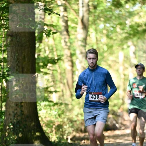 06.10.2024 - Bramfelder Halbmarathon 2024 Dr. Thomas Lammeyer http://msf.ph/oto/7336608 06.10.2024 10:15:56 Laufen 430, 531 meine-sportfotos.de