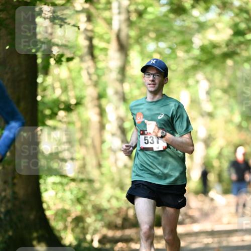 06.10.2024 - Bramfelder Halbmarathon 2024 Dr. Thomas Lammeyer http://msf.ph/oto/7336621 06.10.2024 10:15:58 Laufen 531, 94 meine-sportfotos.de