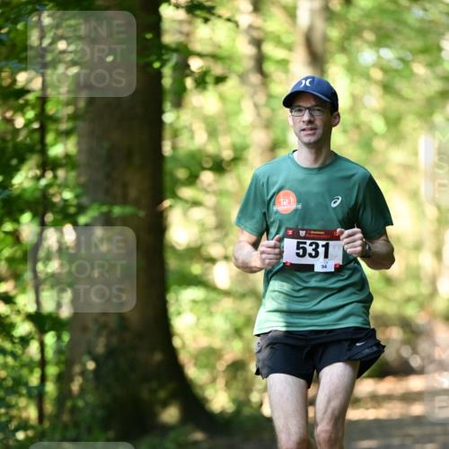 06.10.2024 - Bramfelder Halbmarathon 2024 Dr. Thomas Lammeyer http://msf.ph/oto/7336625 06.10.2024 10:15:59 Laufen 33, 531, 94 meine-sportfotos.de