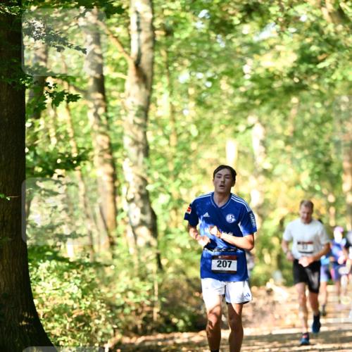 06.10.2024 - Bramfelder Halbmarathon 2024 Dr. Thomas Lammeyer http://msf.ph/oto/7336694 06.10.2024 10:16:32 Laufen 207 meine-sportfotos.de