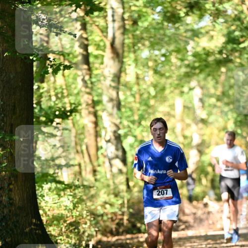 06.10.2024 - Bramfelder Halbmarathon 2024 Dr. Thomas Lammeyer http://msf.ph/oto/7336699 06.10.2024 10:16:33 Laufen 207 meine-sportfotos.de