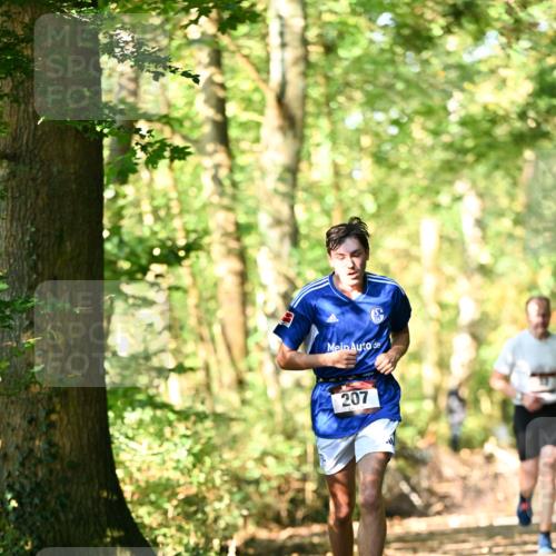06.10.2024 - Bramfelder Halbmarathon 2024 Dr. Thomas Lammeyer http://msf.ph/oto/7336703 06.10.2024 10:16:33 Laufen 207 meine-sportfotos.de
