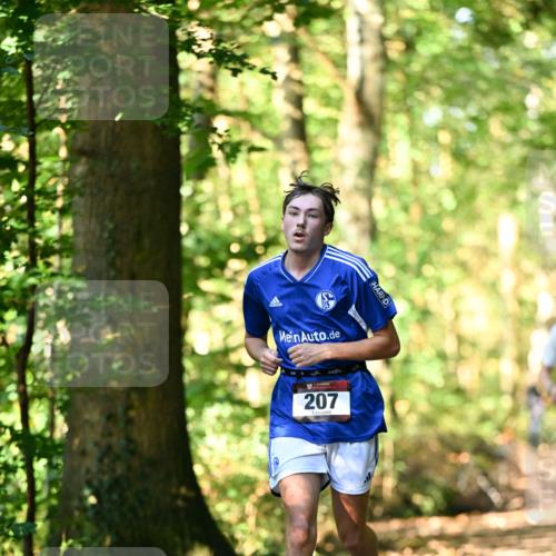 06.10.2024 - Bramfelder Halbmarathon 2024 Dr. Thomas Lammeyer http://msf.ph/oto/7336712 06.10.2024 10:16:34 Laufen 207 meine-sportfotos.de