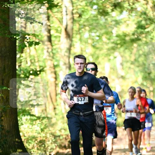 06.10.2024 - Bramfelder Halbmarathon 2024 Dr. Thomas Lammeyer http://msf.ph/oto/7336741 06.10.2024 10:16:41 Laufen 537, 99 meine-sportfotos.de