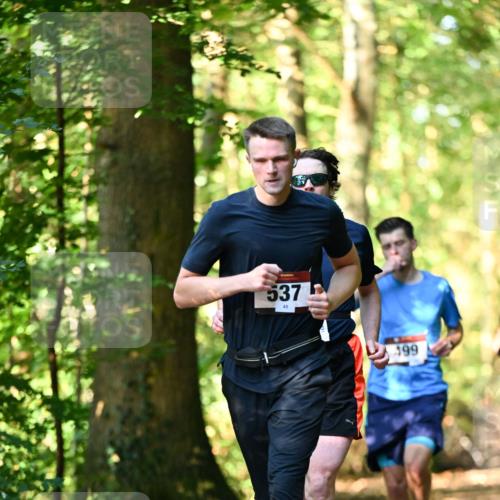 06.10.2024 - Bramfelder Halbmarathon 2024 Dr. Thomas Lammeyer http://msf.ph/oto/7336750 06.10.2024 10:16:42 Laufen 537, 199 meine-sportfotos.de