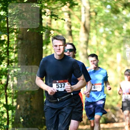 06.10.2024 - Bramfelder Halbmarathon 2024 Dr. Thomas Lammeyer http://msf.ph/oto/7336751 06.10.2024 10:16:42 Laufen 537, 499 meine-sportfotos.de