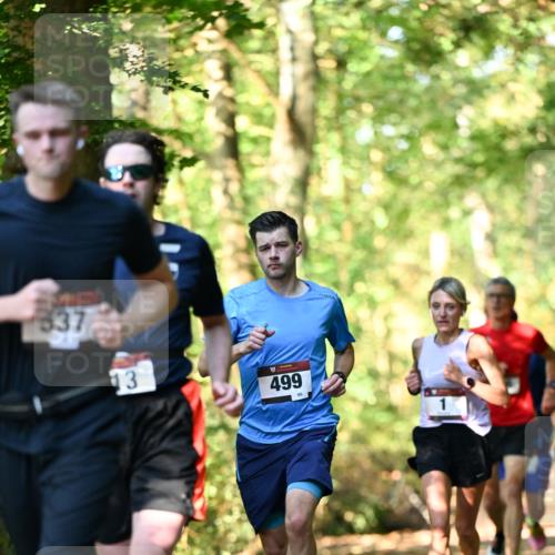 06.10.2024 - Bramfelder Halbmarathon 2024 Dr. Thomas Lammeyer http://msf.ph/oto/7336752 06.10.2024 10:16:43 Laufen 537, 13, 499 meine-sportfotos.de
