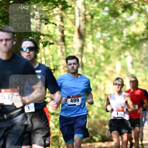06.10.2024 - Bramfelder Halbmarathon 2024 Dr. Thomas Lammeyer http://msf.ph/oto/7336753 06.10.2024 10:16:43 Laufen 537, 3, 499, 90 meine-sportfotos.de
