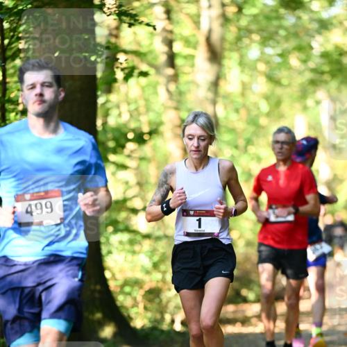 06.10.2024 - Bramfelder Halbmarathon 2024 Dr. Thomas Lammeyer http://msf.ph/oto/7336760 06.10.2024 10:16:44 Laufen 499, 1 meine-sportfotos.de