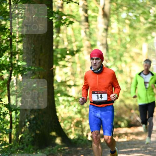 06.10.2024 - Bramfelder Halbmarathon 2024 Dr. Thomas Lammeyer http://msf.ph/oto/7336830 06.10.2024 10:17:19 Laufen 14 meine-sportfotos.de