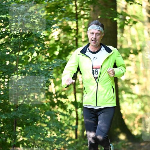 06.10.2024 - Bramfelder Halbmarathon 2024 Dr. Thomas Lammeyer http://msf.ph/oto/7336858 06.10.2024 10:17:24 Laufen 36 meine-sportfotos.de
