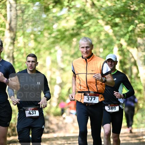 06.10.2024 - Bramfelder Halbmarathon 2024 Dr. Thomas Lammeyer http://msf.ph/oto/7336906 06.10.2024 10:17:47 Laufen 437, 377, 113, 389 meine-sportfotos.de