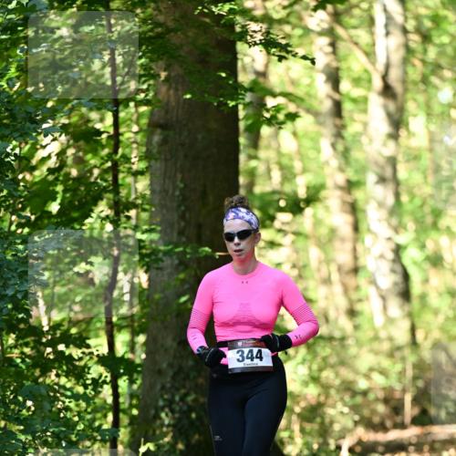06.10.2024 - Bramfelder Halbmarathon 2024 Dr. Thomas Lammeyer http://msf.ph/oto/7336974 06.10.2024 10:18:28 Laufen 344 meine-sportfotos.de