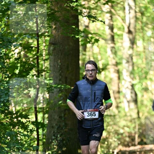 06.10.2024 - Bramfelder Halbmarathon 2024 Dr. Thomas Lammeyer http://msf.ph/oto/7337006 06.10.2024 10:18:36 Laufen 365 meine-sportfotos.de