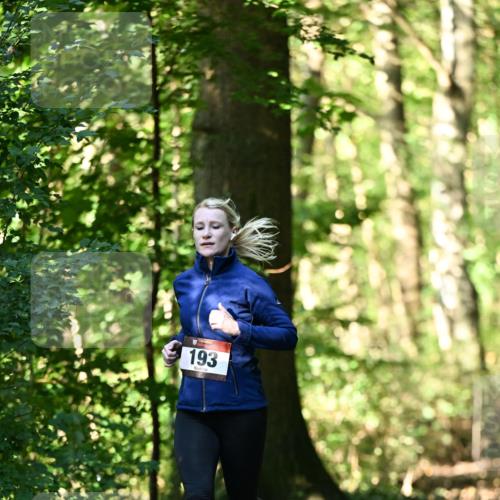 06.10.2024 - Bramfelder Halbmarathon 2024 Dr. Thomas Lammeyer http://msf.ph/oto/7337046 06.10.2024 10:18:55 Laufen 193 meine-sportfotos.de