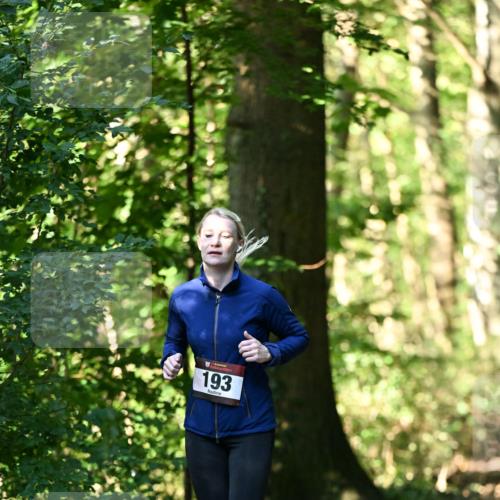 06.10.2024 - Bramfelder Halbmarathon 2024 Dr. Thomas Lammeyer http://msf.ph/oto/7337047 06.10.2024 10:18:55 Laufen 193 meine-sportfotos.de