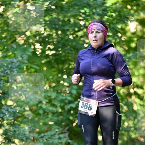 06.10.2024 - Bramfelder Halbmarathon 2024 Dr. Thomas Lammeyer http://msf.ph/oto/7337130 06.10.2024 10:19:42 Laufen 368 meine-sportfotos.de