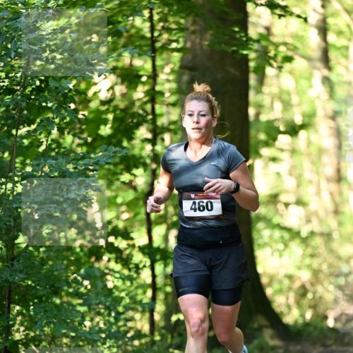 06.10.2024 - Bramfelder Halbmarathon 2024 Dr. Thomas Lammeyer http://msf.ph/oto/7337163 06.10.2024 10:20:03 Laufen 460 meine-sportfotos.de