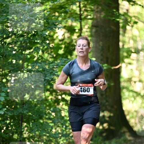06.10.2024 - Bramfelder Halbmarathon 2024 Dr. Thomas Lammeyer http://msf.ph/oto/7337166 06.10.2024 10:20:04 Laufen 460 meine-sportfotos.de