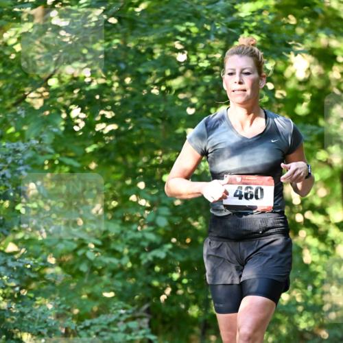 06.10.2024 - Bramfelder Halbmarathon 2024 Dr. Thomas Lammeyer http://msf.ph/oto/7337171 06.10.2024 10:20:04 Laufen 460 meine-sportfotos.de