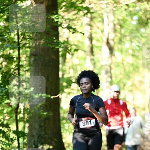 06.10.2024 - Bramfelder Halbmarathon 2024 Dr. Thomas Lammeyer http://msf.ph/oto/7337259 06.10.2024 10:20:33 Laufen 391, 70 meine-sportfotos.de