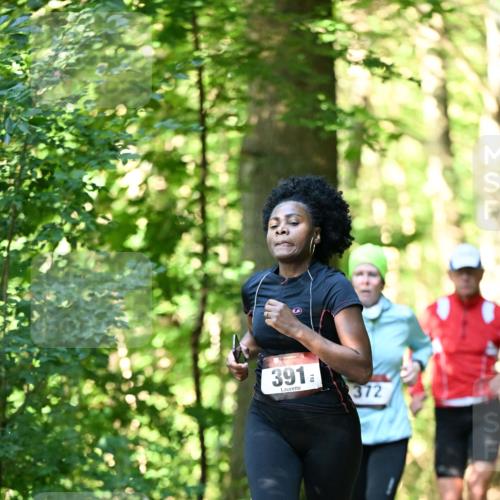 06.10.2024 - Bramfelder Halbmarathon 2024 Dr. Thomas Lammeyer http://msf.ph/oto/7337265 06.10.2024 10:20:34 Laufen 391, 372 meine-sportfotos.de