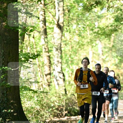 06.10.2024 - Bramfelder Halbmarathon 2024 Dr. Thomas Lammeyer http://msf.ph/oto/7337466 06.10.2024 10:21:31 Laufen 83, 156, 40, 369 meine-sportfotos.de