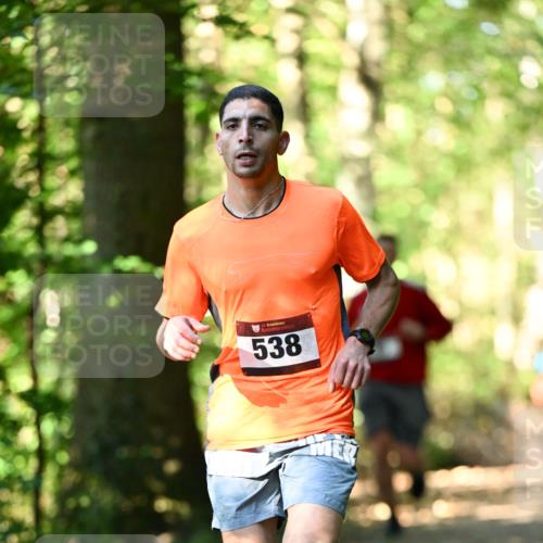06.10.2024 - Bramfelder Halbmarathon 2024 Dr. Thomas Lammeyer http://msf.ph/oto/7337546 06.10.2024 10:22:02 Laufen 33, 538 meine-sportfotos.de