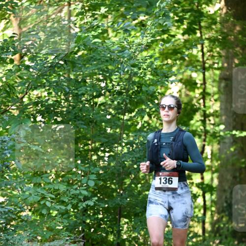 06.10.2024 - Bramfelder Halbmarathon 2024 Dr. Thomas Lammeyer http://msf.ph/oto/7337617 06.10.2024 10:22:20 Laufen 136 meine-sportfotos.de