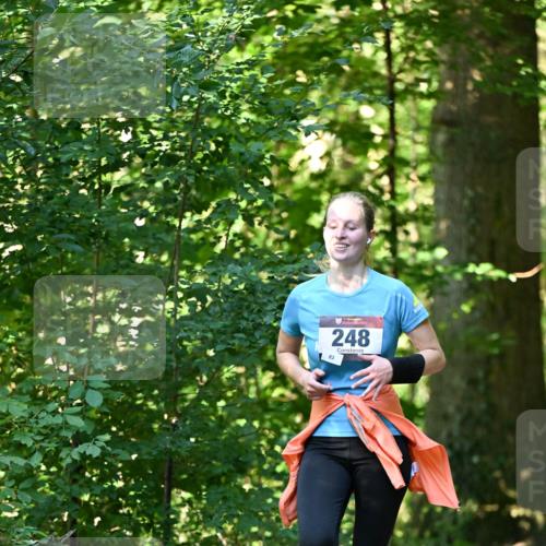 06.10.2024 - Bramfelder Halbmarathon 2024 Dr. Thomas Lammeyer http://msf.ph/oto/7337628 06.10.2024 10:22:22 Laufen 83, 248 meine-sportfotos.de