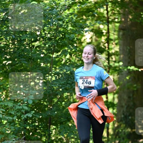 06.10.2024 - Bramfelder Halbmarathon 2024 Dr. Thomas Lammeyer http://msf.ph/oto/7337629 06.10.2024 10:22:22 Laufen 83, 248 meine-sportfotos.de