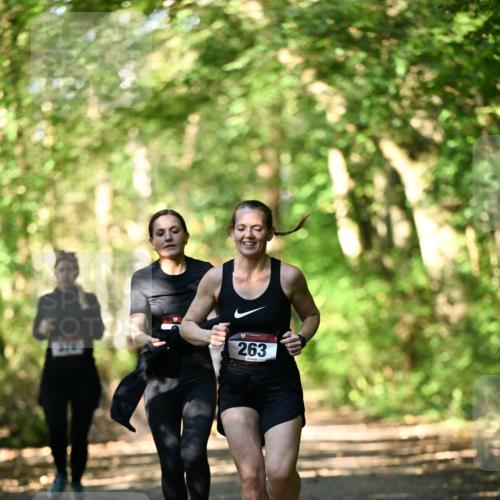 06.10.2024 - Bramfelder Halbmarathon 2024 Dr. Thomas Lammeyer http://msf.ph/oto/7337640 06.10.2024 10:22:25 Laufen 378, 263 meine-sportfotos.de