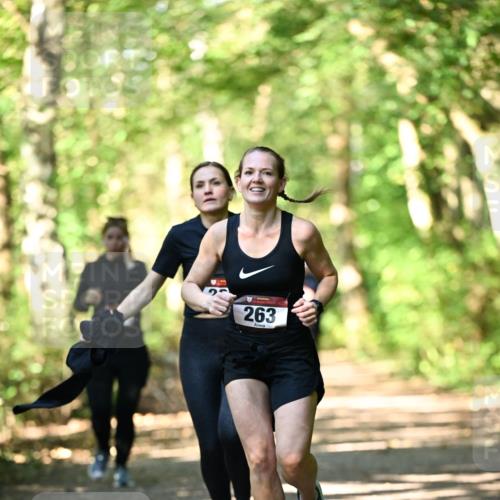 06.10.2024 - Bramfelder Halbmarathon 2024 Dr. Thomas Lammeyer http://msf.ph/oto/7337645 06.10.2024 10:22:26 Laufen 263 meine-sportfotos.de