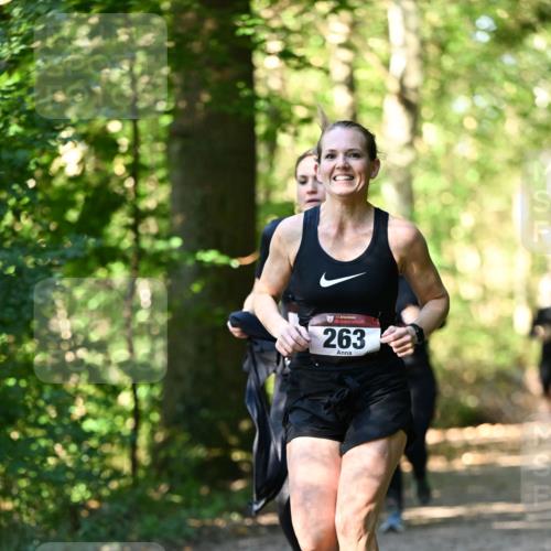 06.10.2024 - Bramfelder Halbmarathon 2024 Dr. Thomas Lammeyer http://msf.ph/oto/7337657 06.10.2024 10:22:27 Laufen 33, 263 meine-sportfotos.de