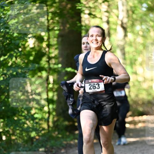 06.10.2024 - Bramfelder Halbmarathon 2024 Dr. Thomas Lammeyer http://msf.ph/oto/7337658 06.10.2024 10:22:27 Laufen 263 meine-sportfotos.de