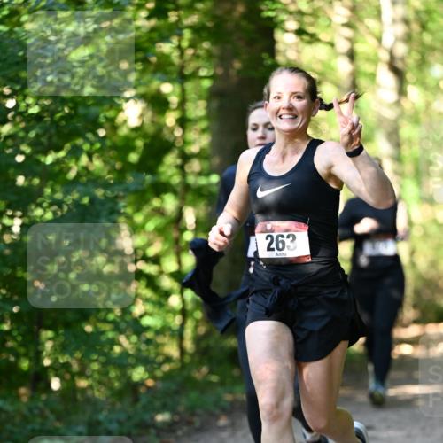 06.10.2024 - Bramfelder Halbmarathon 2024 Dr. Thomas Lammeyer http://msf.ph/oto/7337659 06.10.2024 10:22:28 Laufen 263 meine-sportfotos.de