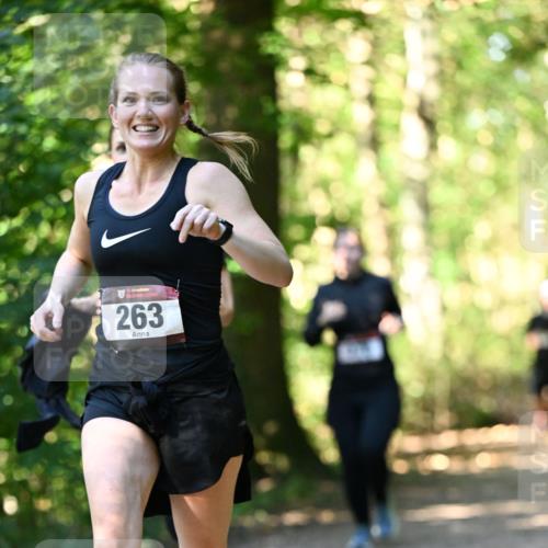 06.10.2024 - Bramfelder Halbmarathon 2024 Dr. Thomas Lammeyer http://msf.ph/oto/7337663 06.10.2024 10:22:28 Laufen 263 meine-sportfotos.de