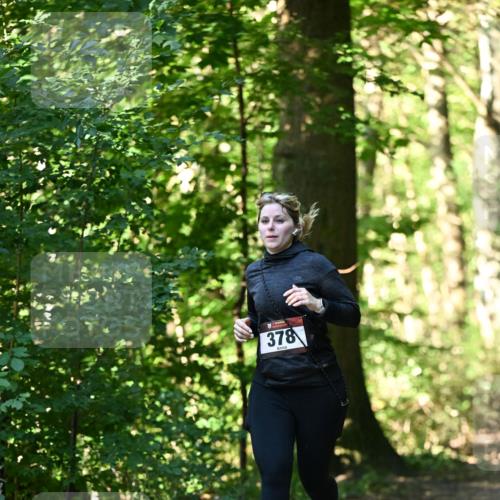 06.10.2024 - Bramfelder Halbmarathon 2024 Dr. Thomas Lammeyer http://msf.ph/oto/7337664 06.10.2024 10:22:29 Laufen 378 meine-sportfotos.de