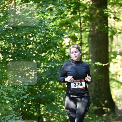06.10.2024 - Bramfelder Halbmarathon 2024 Dr. Thomas Lammeyer http://msf.ph/oto/7337667 06.10.2024 10:22:30 Laufen 378 meine-sportfotos.de