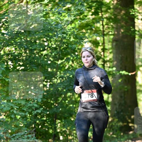 06.10.2024 - Bramfelder Halbmarathon 2024 Dr. Thomas Lammeyer http://msf.ph/oto/7337668 06.10.2024 10:22:30 Laufen 378 meine-sportfotos.de
