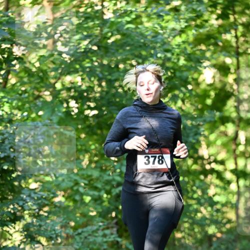 06.10.2024 - Bramfelder Halbmarathon 2024 Dr. Thomas Lammeyer http://msf.ph/oto/7337672 06.10.2024 10:22:30 Laufen 378 meine-sportfotos.de