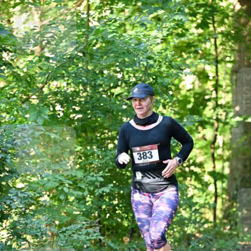 06.10.2024 - Bramfelder Halbmarathon 2024 Dr. Thomas Lammeyer http://msf.ph/oto/7337799 06.10.2024 10:23:20 Laufen 383 meine-sportfotos.de