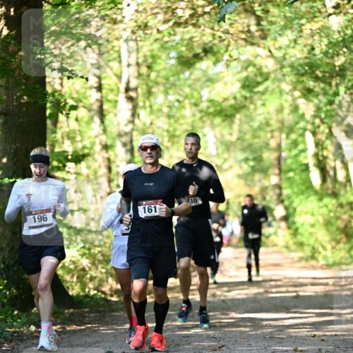 06.10.2024 - Bramfelder Halbmarathon 2024 Dr. Thomas Lammeyer http://msf.ph/oto/7337825 06.10.2024 10:23:28 Laufen 196, 161, 30 meine-sportfotos.de