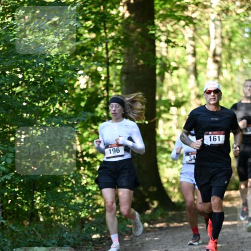 06.10.2024 - Bramfelder Halbmarathon 2024 Dr. Thomas Lammeyer http://msf.ph/oto/7337829 06.10.2024 10:23:28 Laufen 196, 34, 161 meine-sportfotos.de