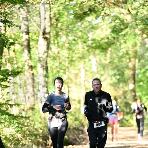 06.10.2024 - Bramfelder Halbmarathon 2024 Dr. Thomas Lammeyer http://msf.ph/oto/7337846 06.10.2024 10:23:34 Laufen 480 meine-sportfotos.de