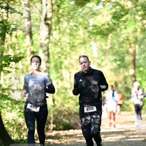06.10.2024 - Bramfelder Halbmarathon 2024 Dr. Thomas Lammeyer http://msf.ph/oto/7337854 06.10.2024 10:23:35 Laufen 492, 480 meine-sportfotos.de