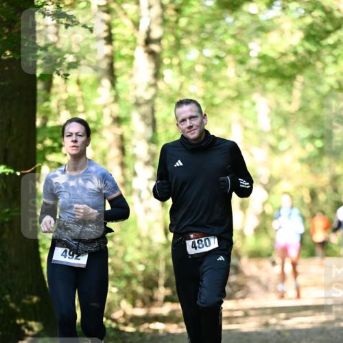 06.10.2024 - Bramfelder Halbmarathon 2024 Dr. Thomas Lammeyer http://msf.ph/oto/7337860 06.10.2024 10:23:36 Laufen 492, 480 meine-sportfotos.de